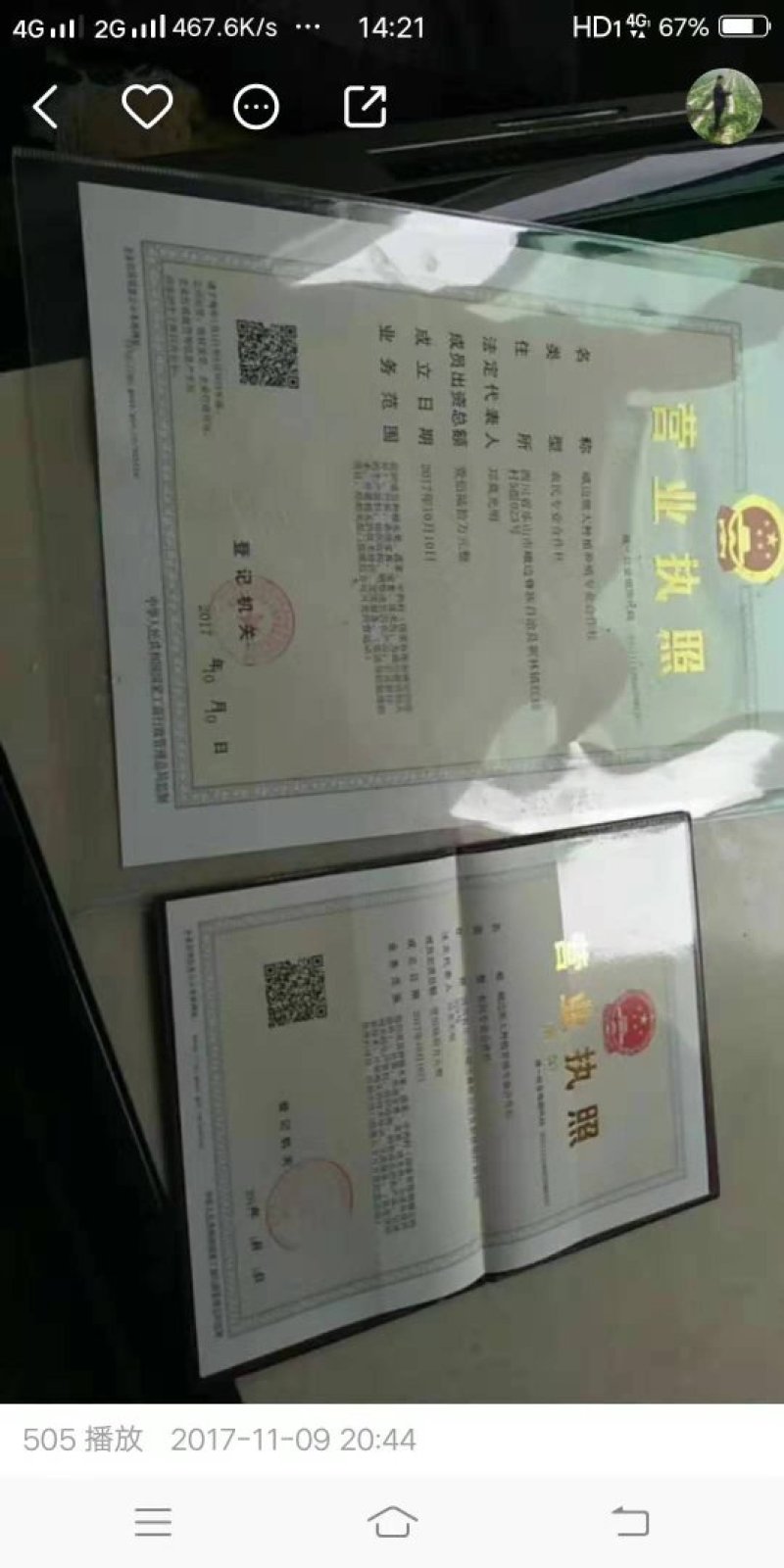 三月竹苗