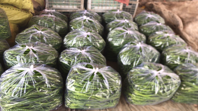 【推荐】精品线椒河南辣椒量大价优一手货源欢迎