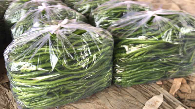 【推荐】精品线椒河南辣椒量大价优一手货源欢迎