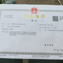 国庆菊