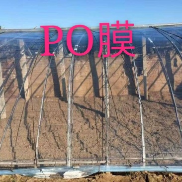 大棚PO膜