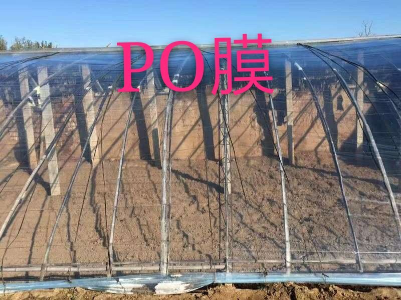 大棚PO膜