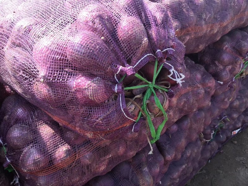 二红洋葱