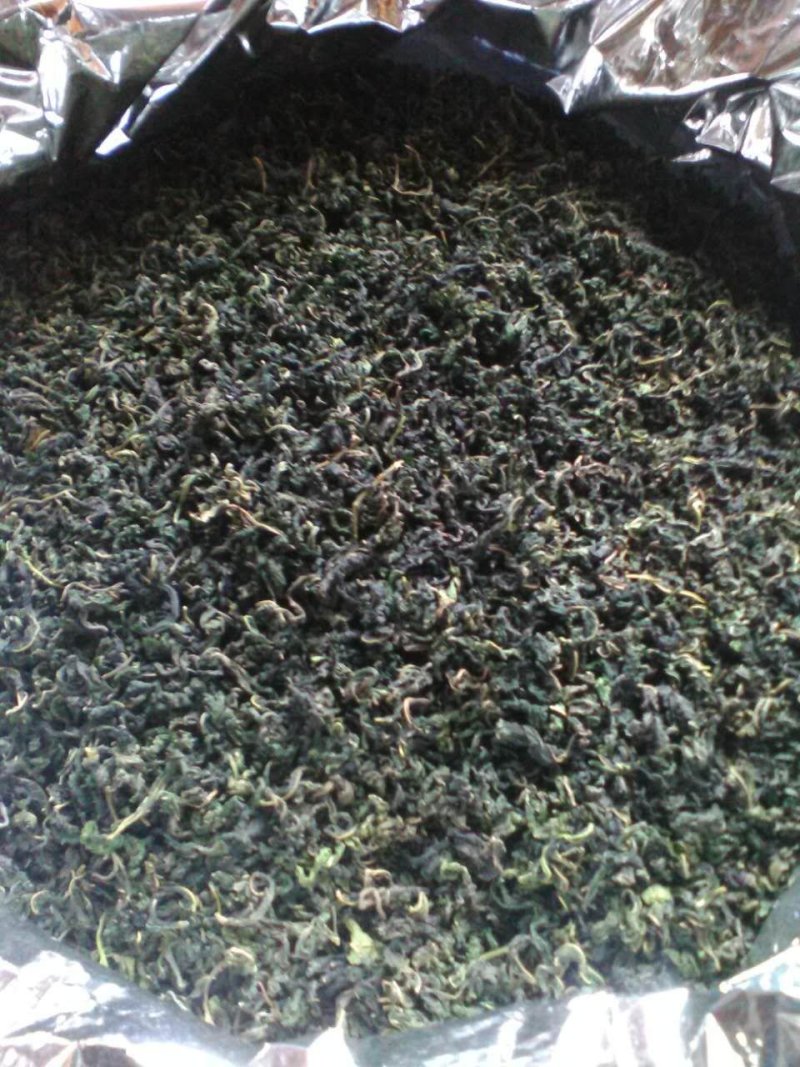 桑叶茶
