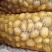 科隆巴陕西沙地土豆产地直销支持视频看货可以打冷