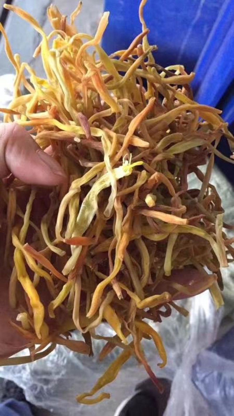 黄花菜干