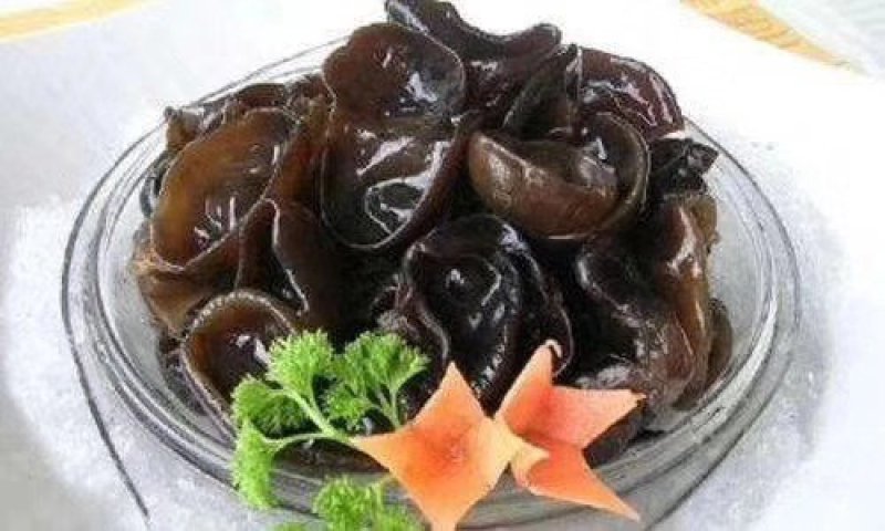 黑木耳，东北黑木耳鼠耳