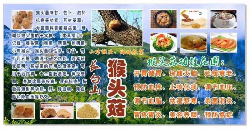 猴头菇，山珍猴头菇