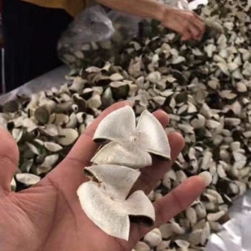 陈皮，新会陈皮