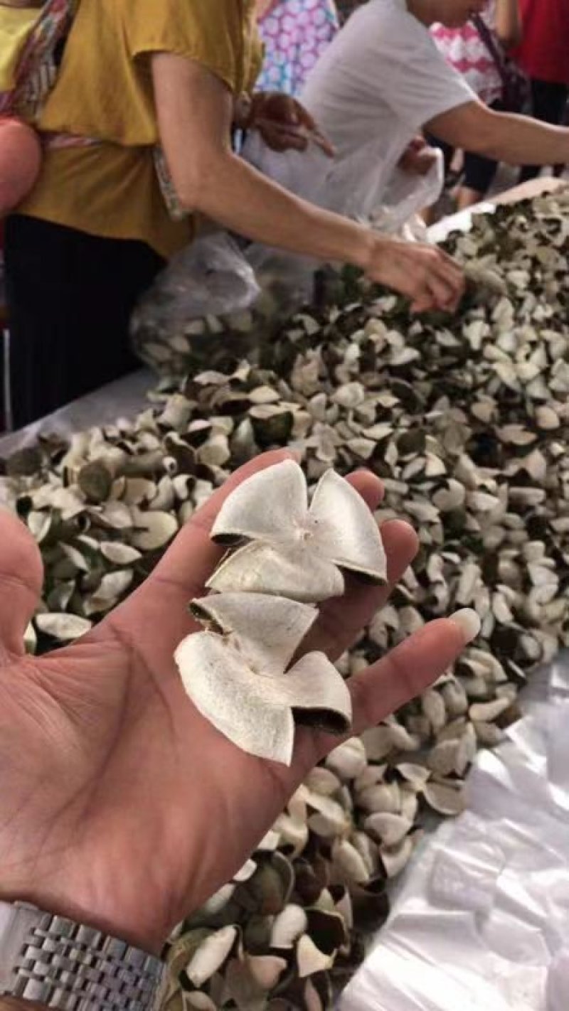 陈皮，新会陈皮