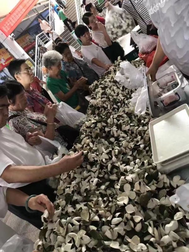 陈皮，新会陈皮