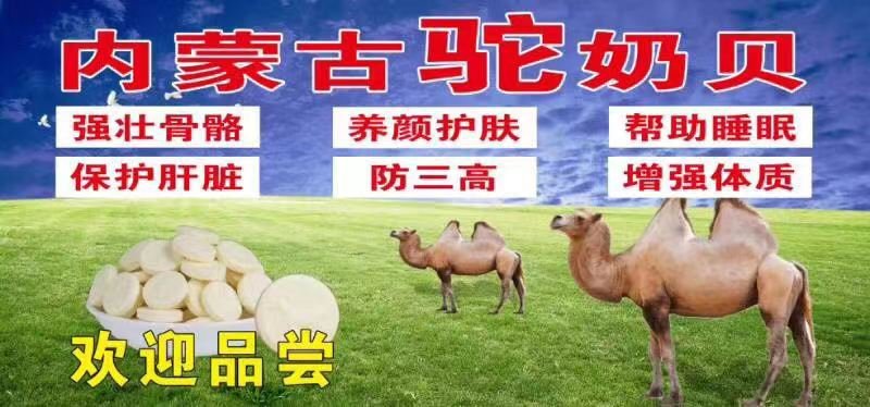 内蒙古驼奶贝