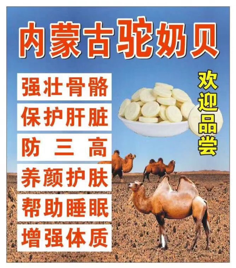 内蒙古驼奶贝