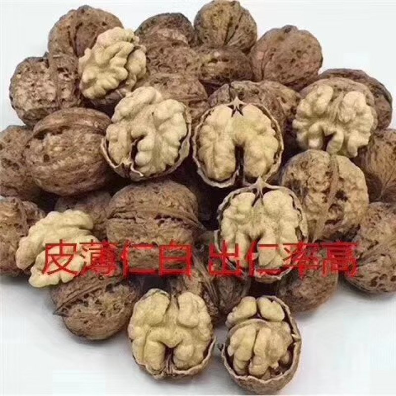 云南纸皮核桃