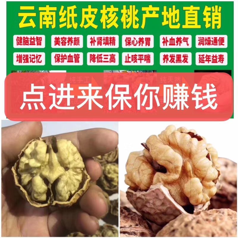 云南纸皮核桃
