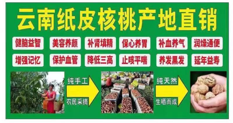 云南纸皮核桃