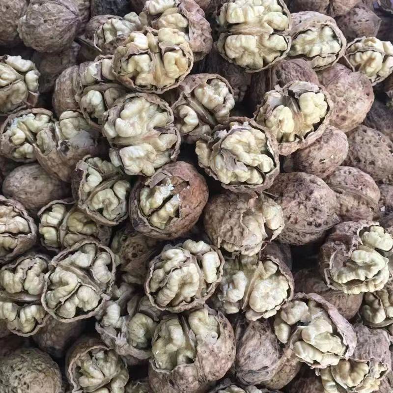 云南纸皮核桃