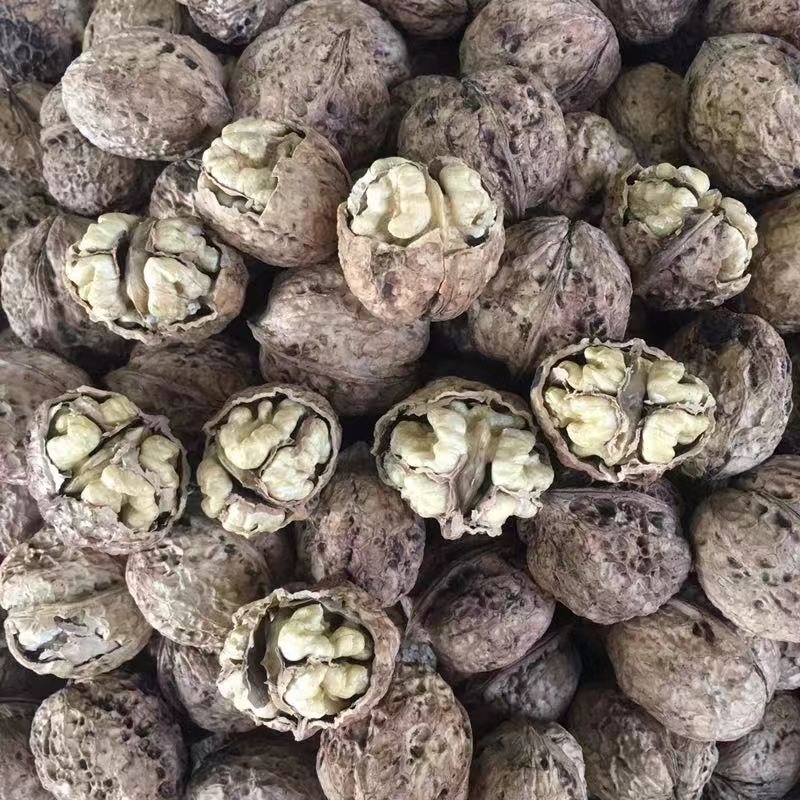 云南纸皮核桃