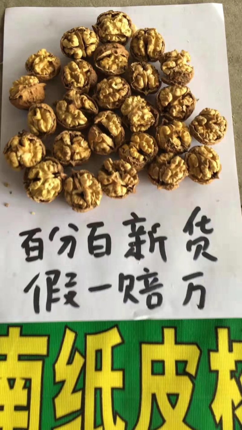 云南纸皮核桃