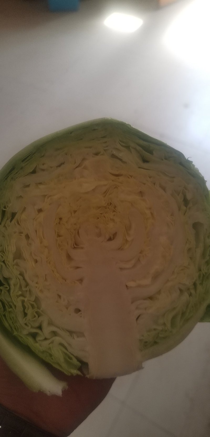 中甘21甘蓝大量供应中有需要的联系我，本人发的甘蓝种