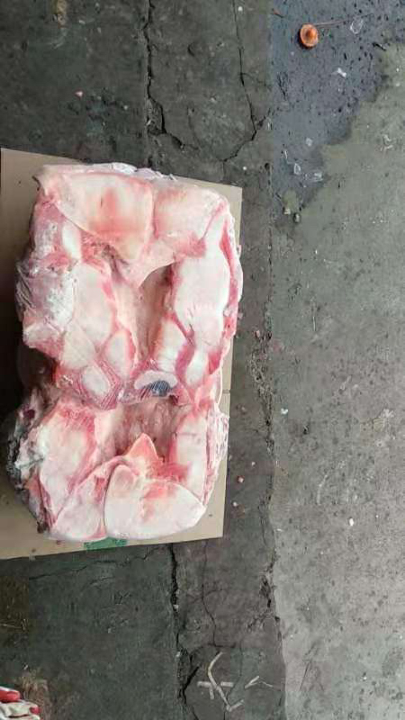 猪头