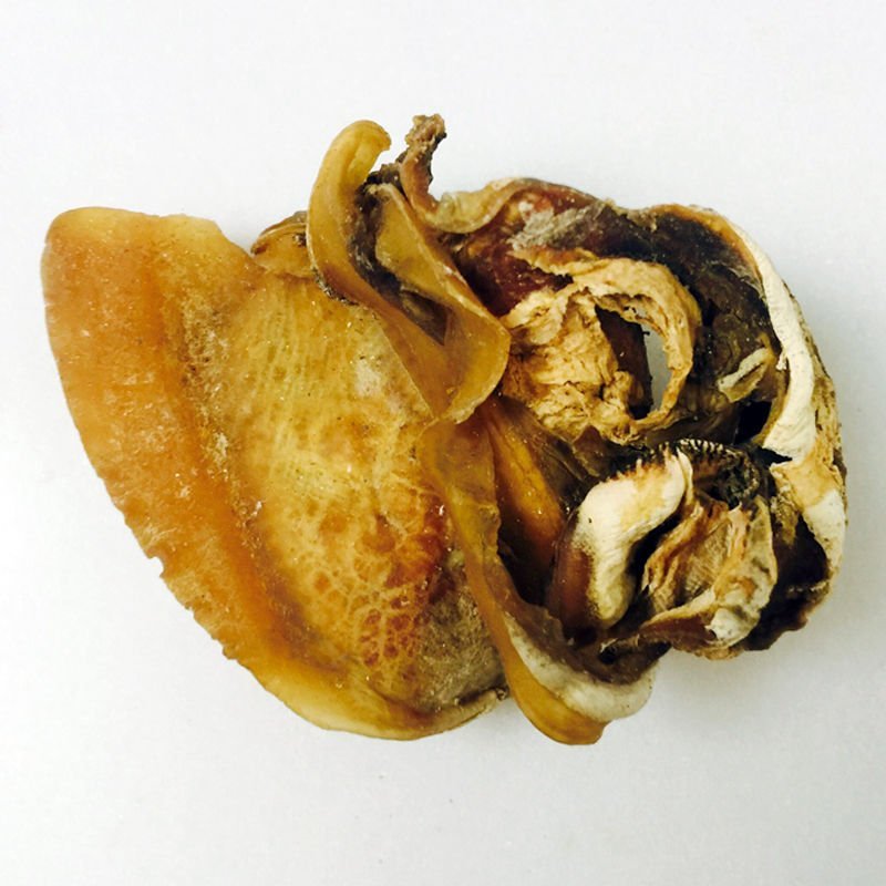 蚌肉，道地药材，质优价实，品质保证，药典标准一公斤起批