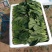 （基地直供）专业供应三排两排泡沫箱打捆菠菜全国代发