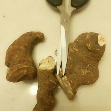 多芽华重楼干的统货，价很美