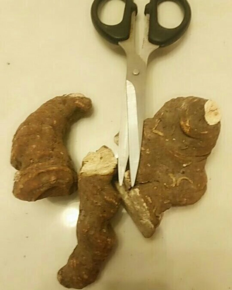 多芽华重楼干的统货，价很美