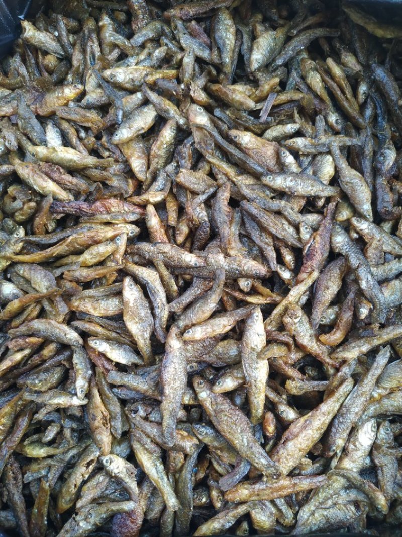 湖南浏阳火焙鱼