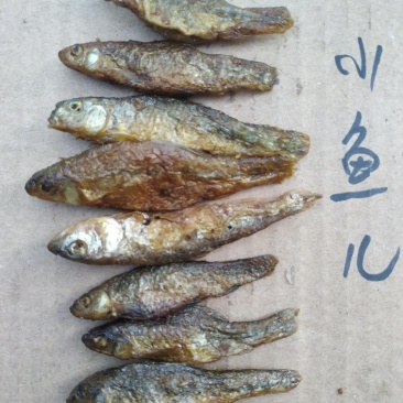 湖南浏阳火焙鱼