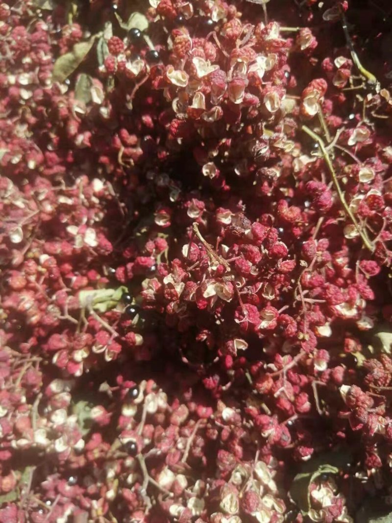 花椒