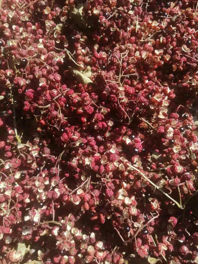花椒