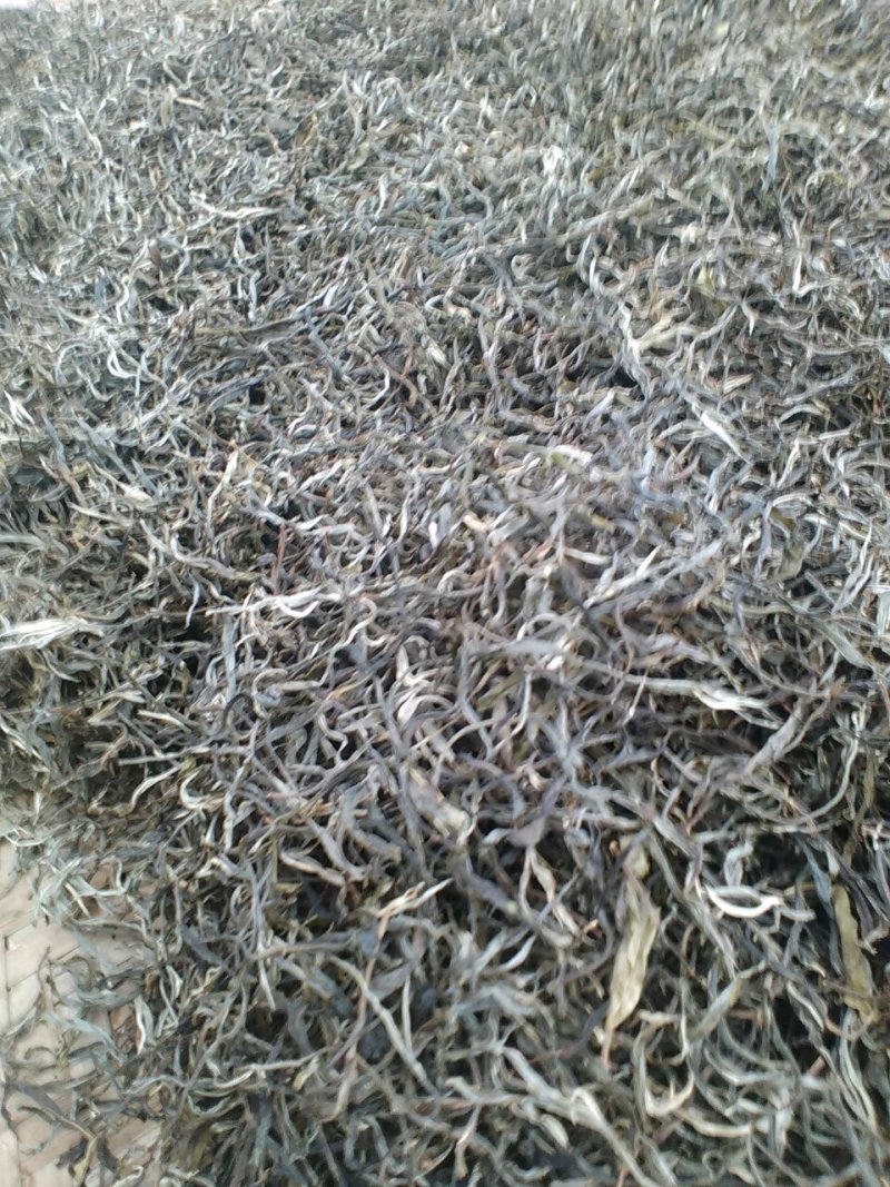 普洱茶