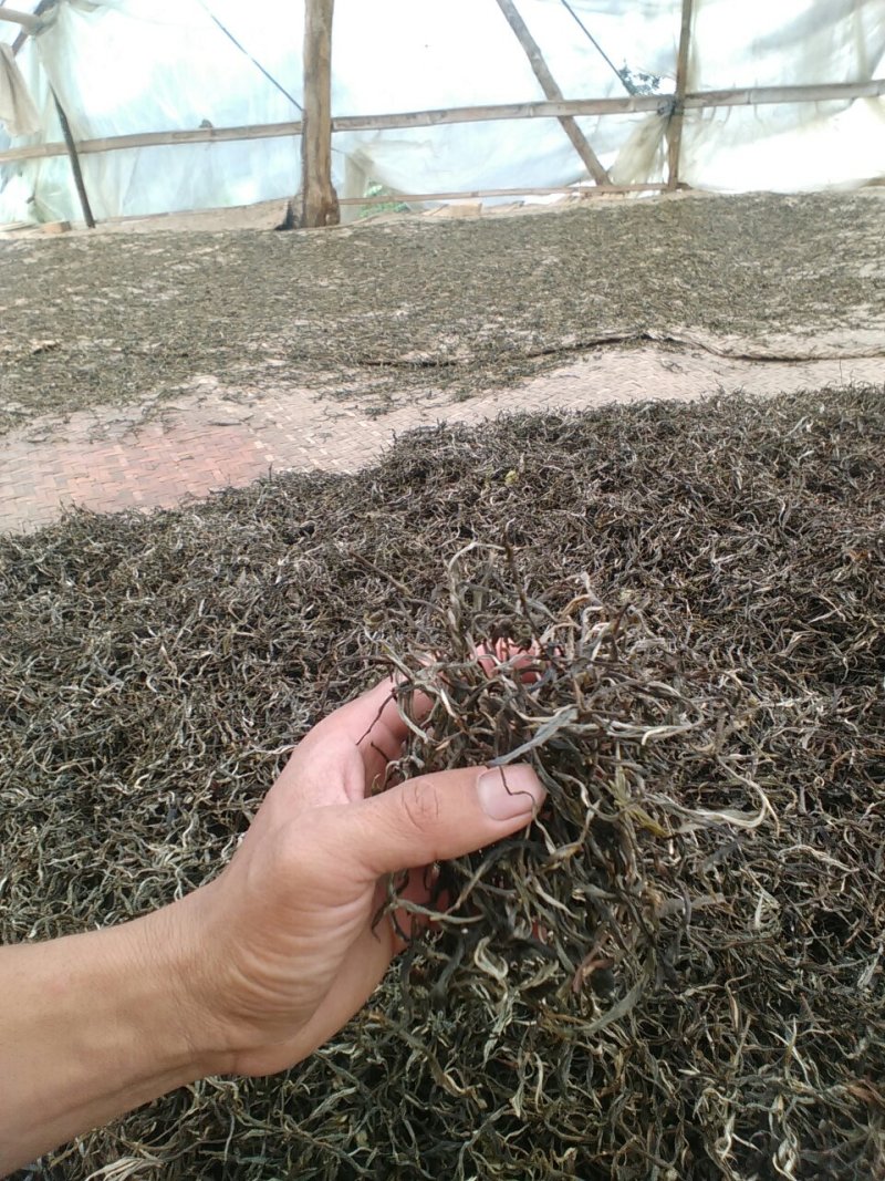 普洱茶
