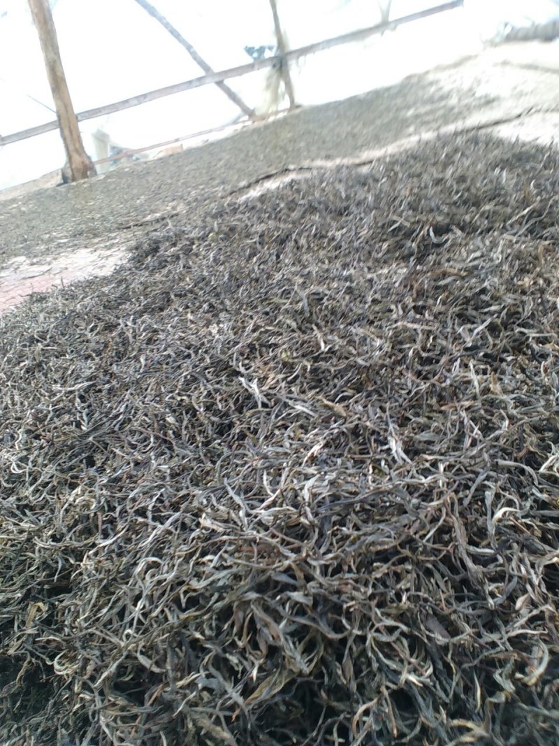 普洱茶
