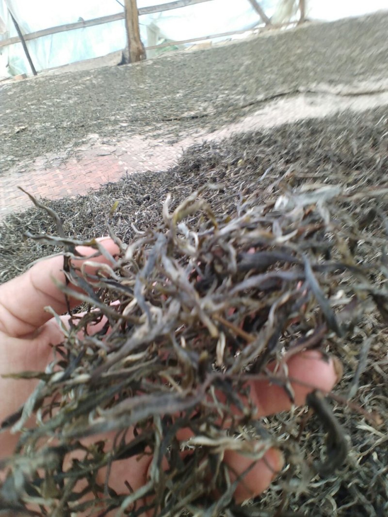 普洱茶