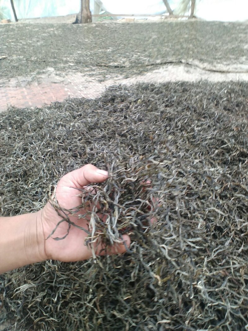 普洱茶