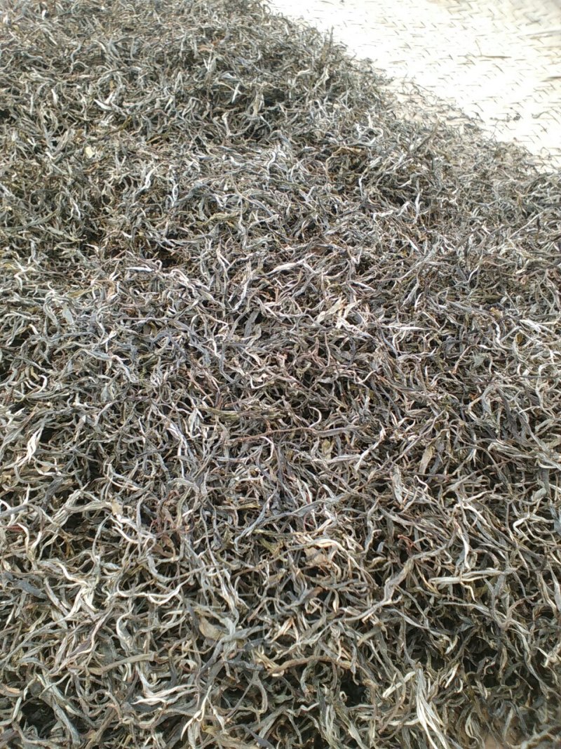 普洱茶