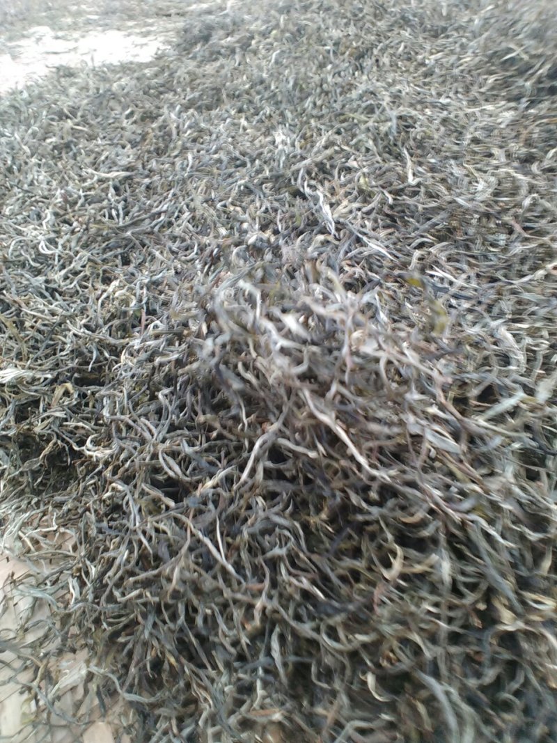 普洱茶