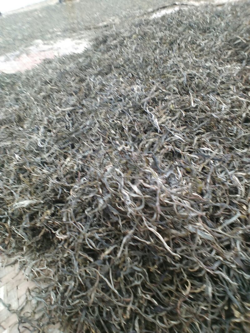 普洱茶