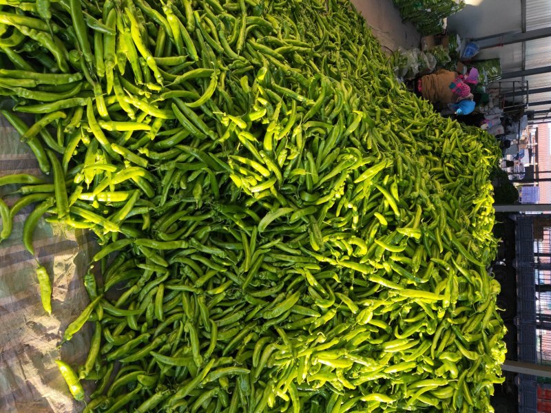 鲜尖椒.鲜辣椒.20厘米中辣.长剑尖椒.黄绿皮