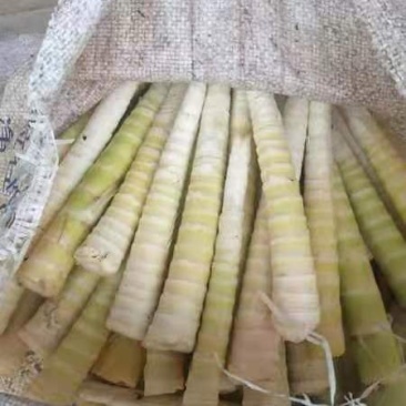 刺竹笋精选鲜货，质量保证