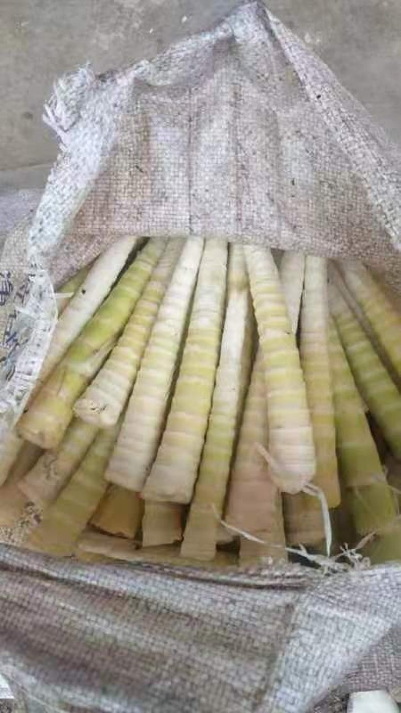 刺竹笋精选鲜货，质量保证
