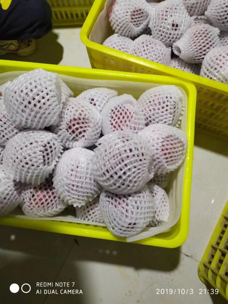 花牛