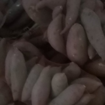 西瓜红红薯，