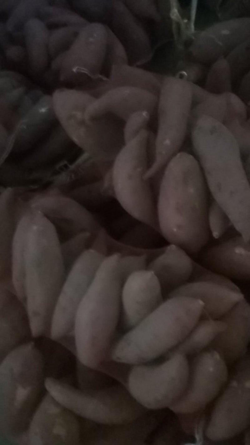西瓜红红薯，