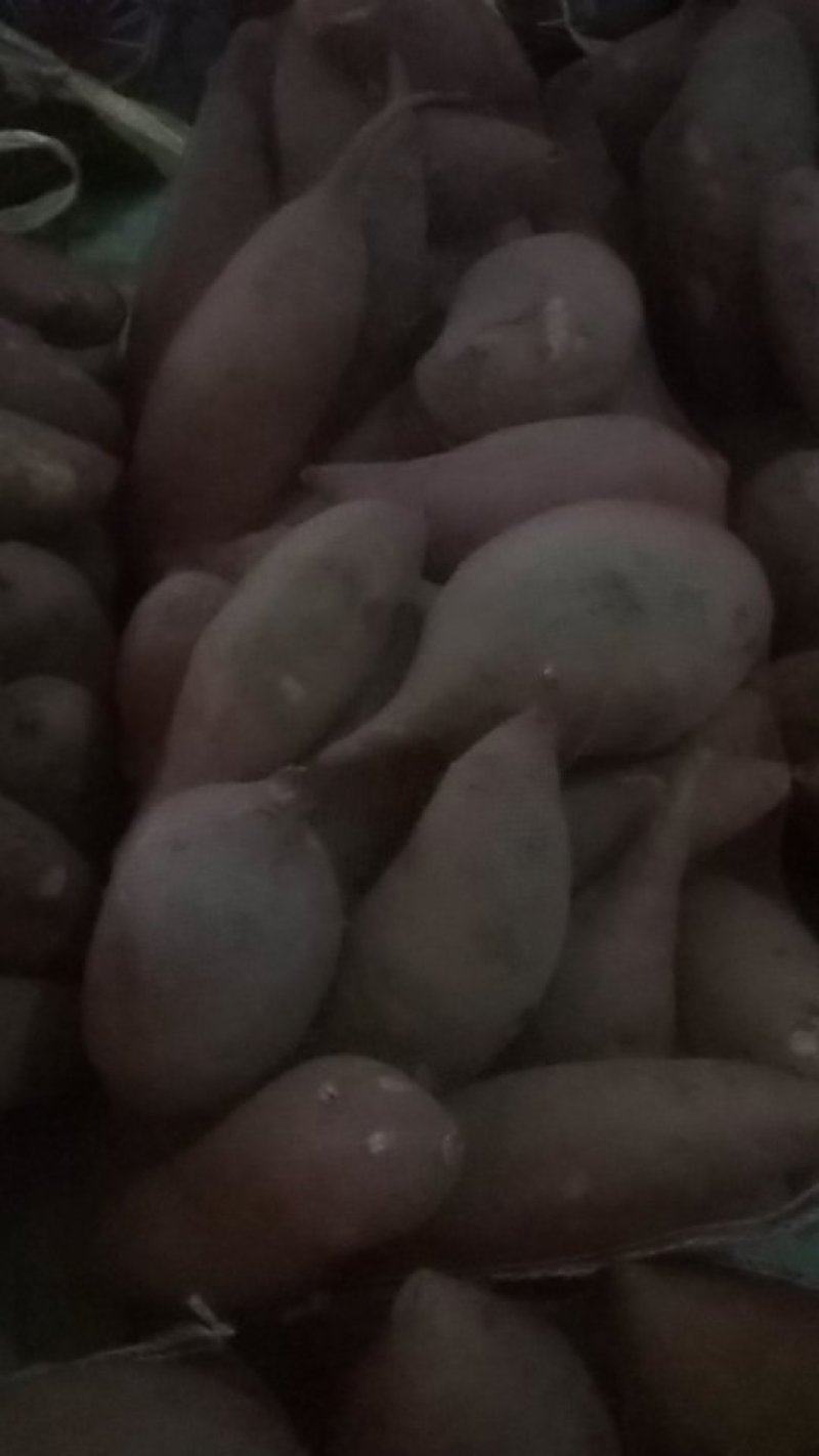 西瓜红红薯，