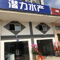 老头蟹一元蟹两元蟹