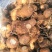 山东芋头大量上市中品种8520欢迎大家采购